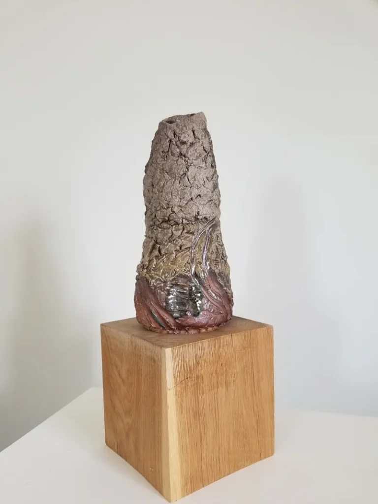 Cuisson bois - Atelier céramique Nicolas Dessables